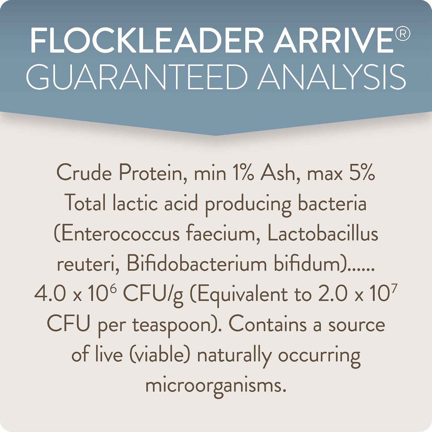 FlockLeader Arrive daily preventative nutritional powder supplement close up product view