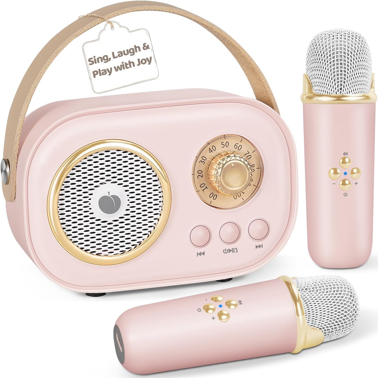PRUNUS C20 Mini Karaoke Machine front view showing pink retro speaker and dual wireless microphones