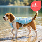 Dog wearing blue Kyeese cooling vest outdoors