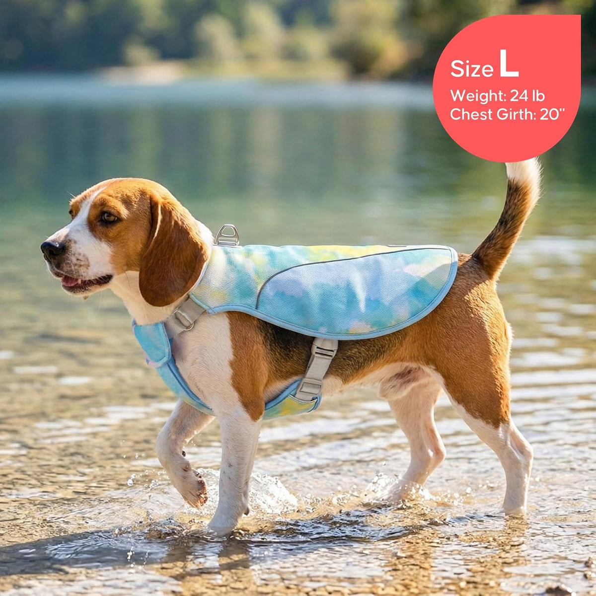Dog wearing blue Kyeese cooling vest outdoors