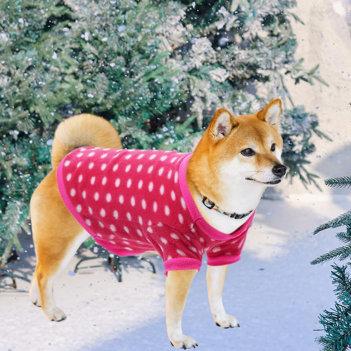 Imported Rbenxia pet clothing set for small puppies and cats.