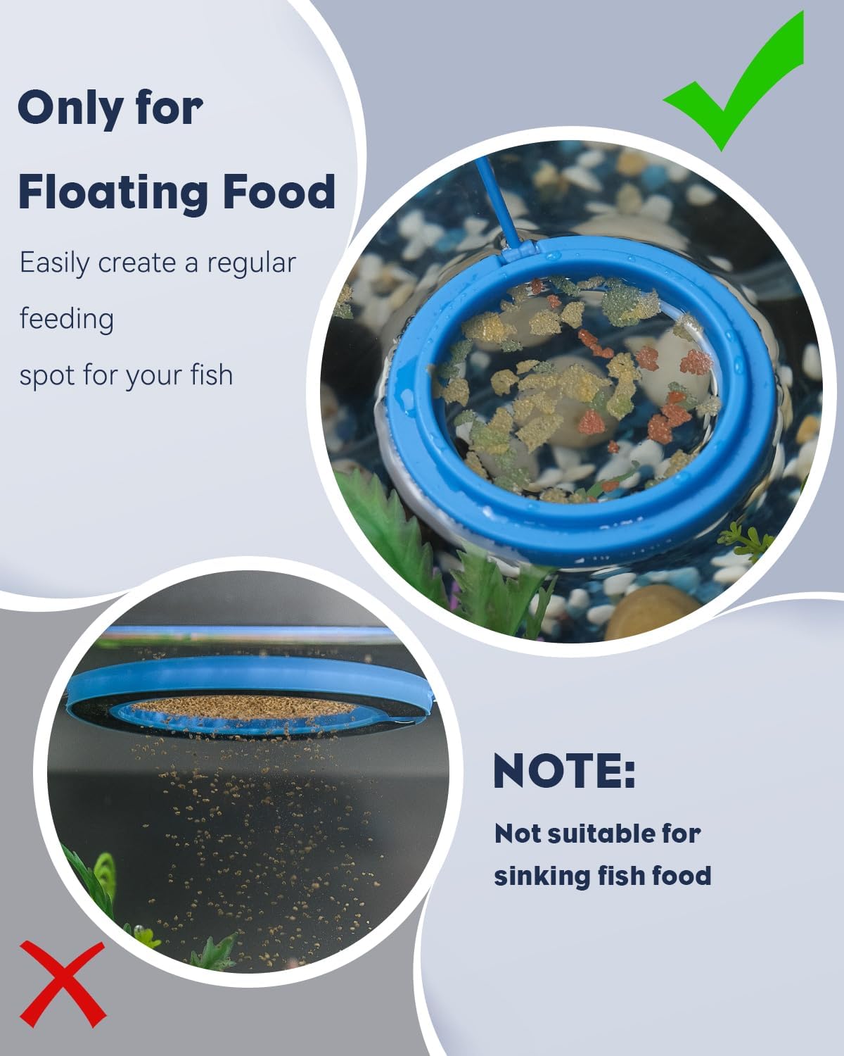 Pawfly small round fish feeder ring floating on water surface