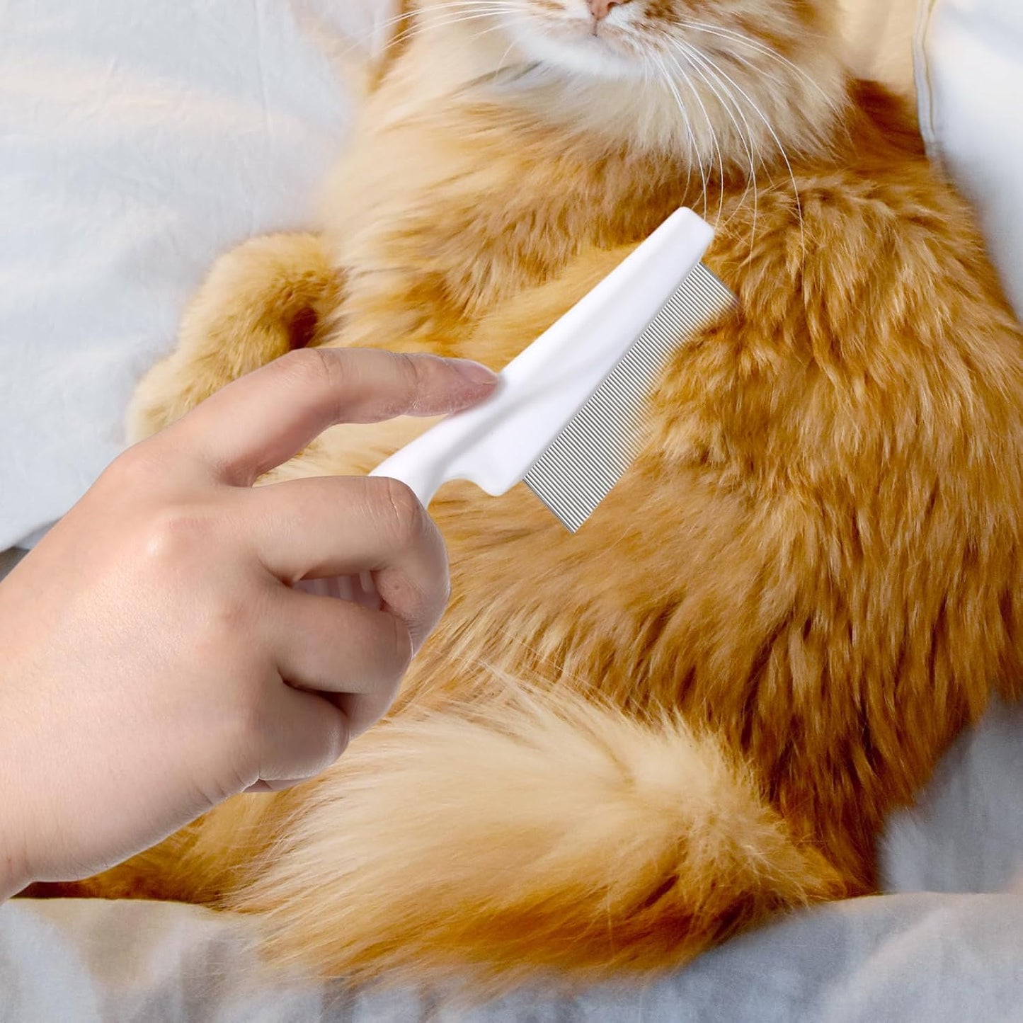 Full product set packaging view of the three piece fine tooth flea comb kit for home pet care