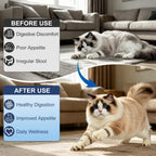 Authentic AETHER USA imported liquid dewormer for feline gut balance
