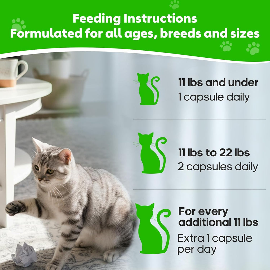 Whiskopia premium cat digestive health capsules packaging detailing benefits for furball removal.