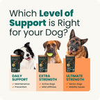 VetriScience Ultimate Strength Healthy Hip & Joint Chews, GlycoFlex Glucosamine, Chondroitin and Green-Lipped Mussel Joint Support Supplement for Dogs, Soothe Joint Discomfort, Duck, 120 Count - Image 9