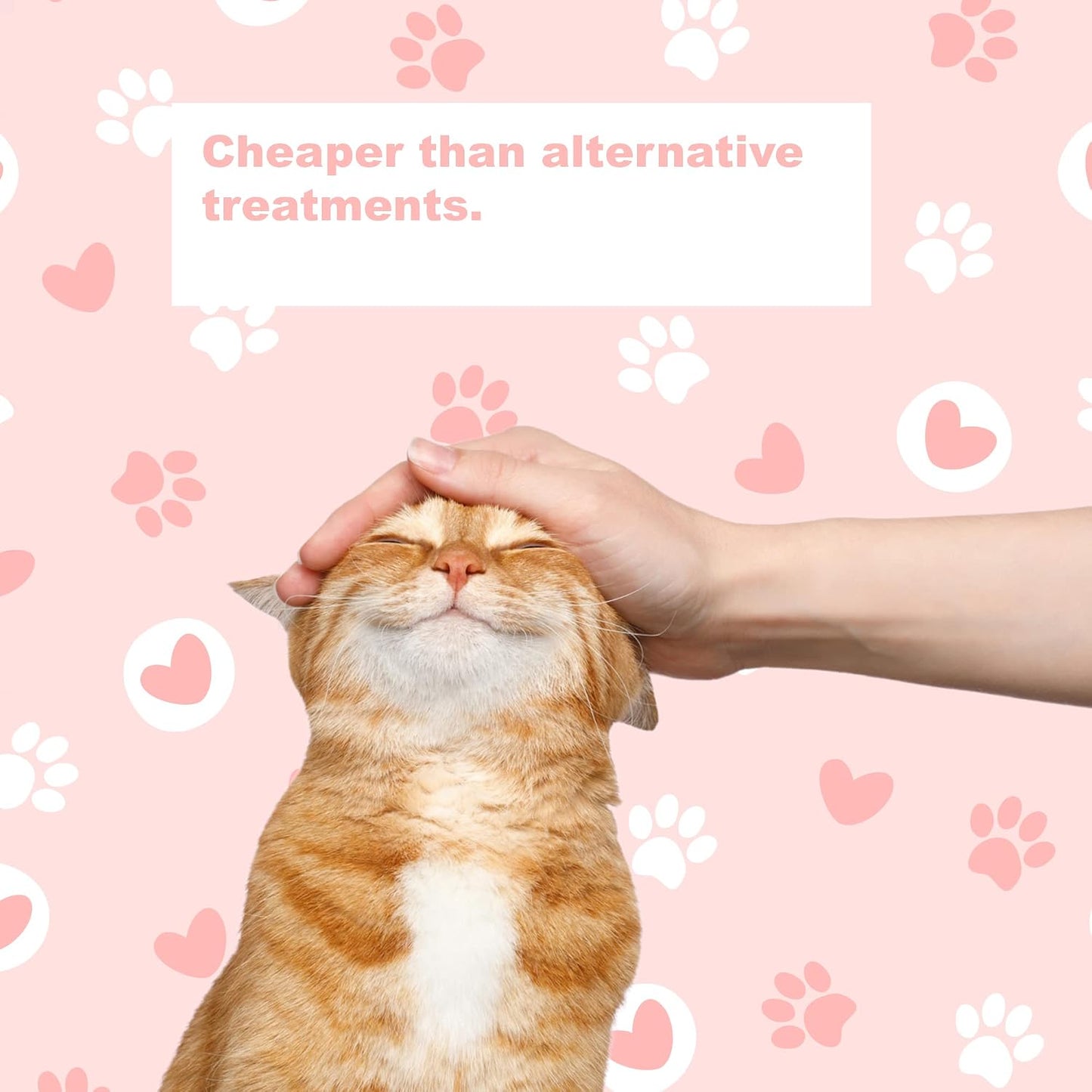 LifeLink Zobaline cat nerve health daily supplement bottle side view