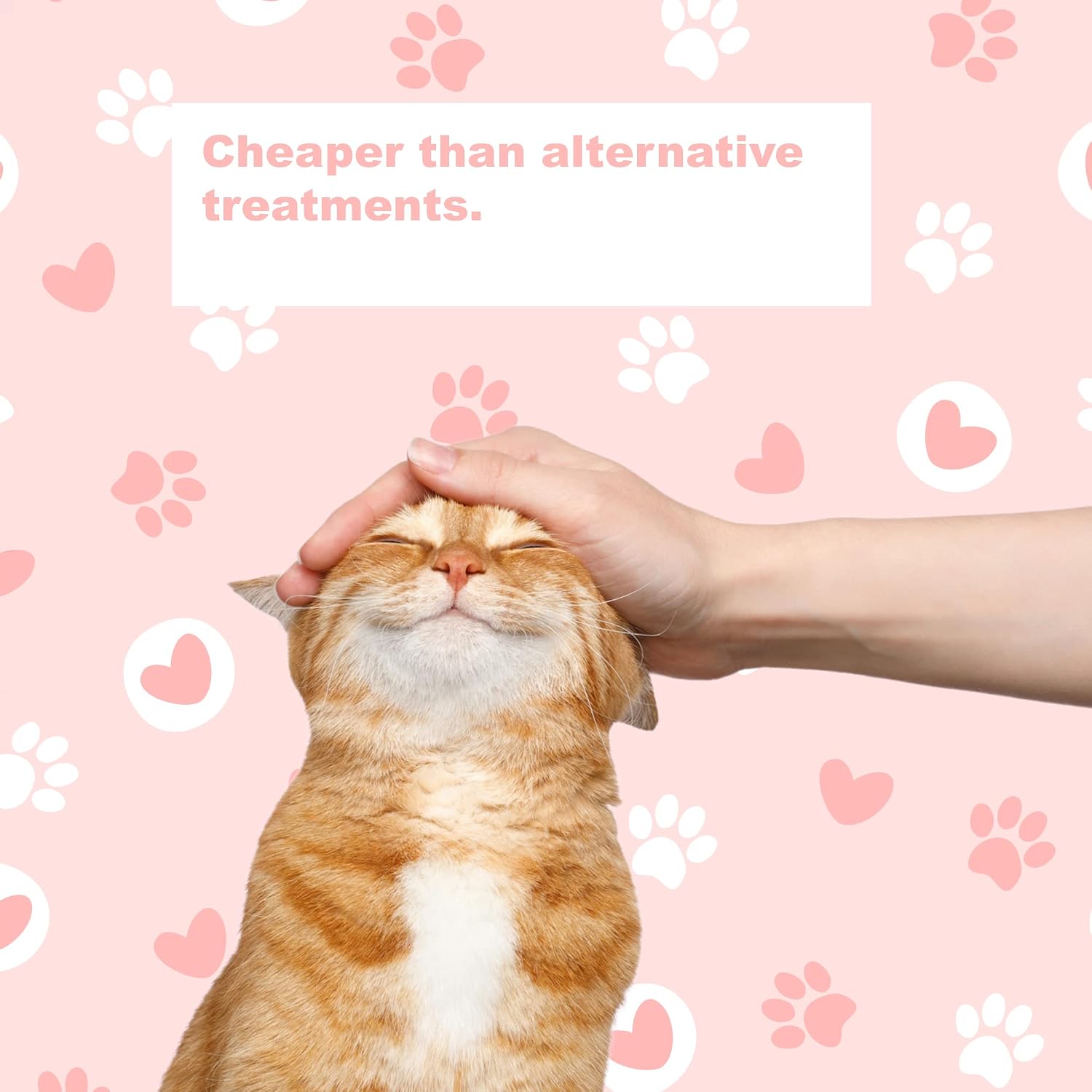 LifeLink Zobaline cat nerve health daily supplement bottle side view