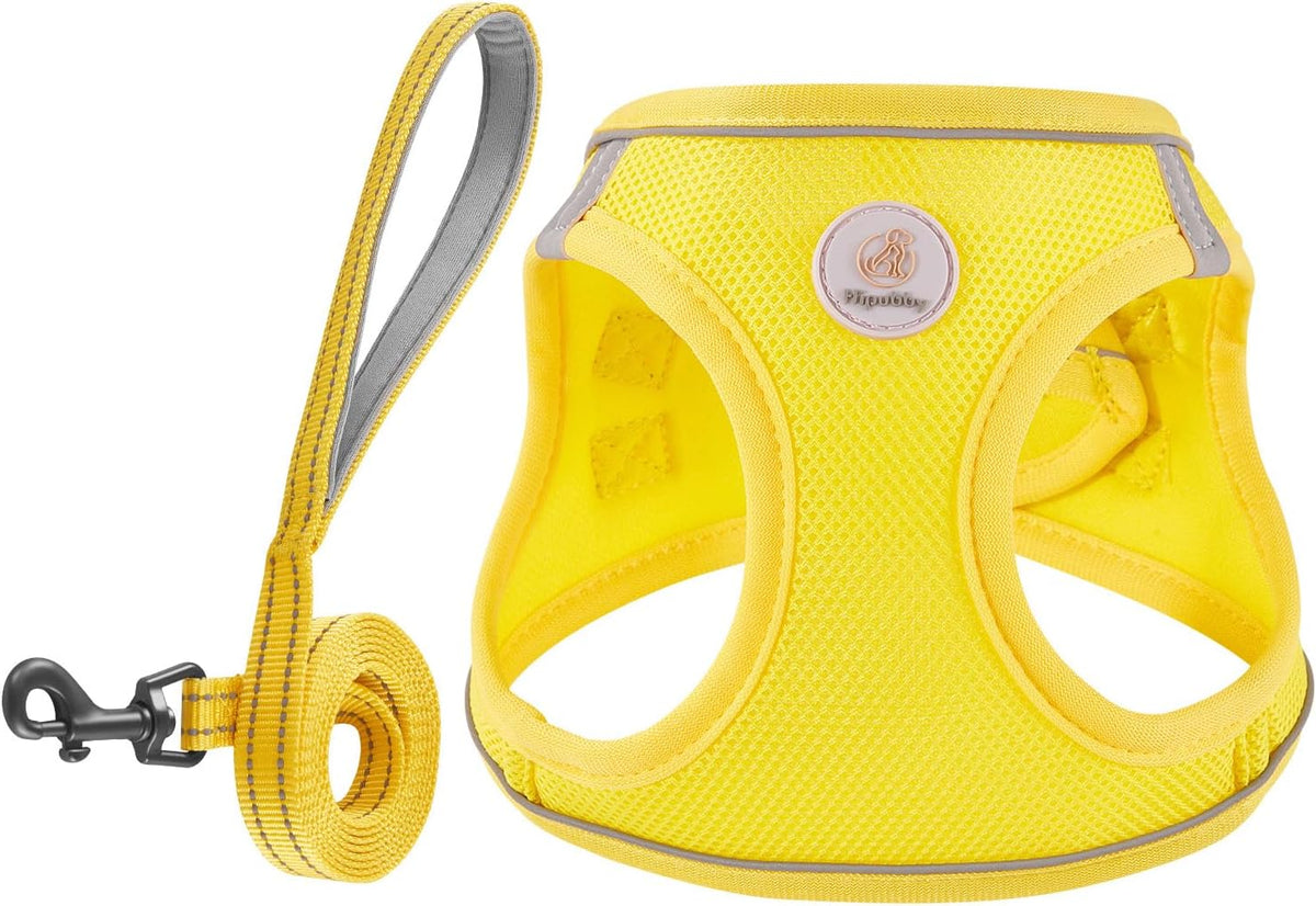 Hipubby Dog Harness and Leash Set, No Pull Soft Mesh Puppy Harness for Small Medium Dogs, Cats - Step in Reflective Breathable Lightweight Vest Harness for Walking, Training - Pink, XS - Image 13