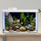 Awert aquarium backdrop installed on the back glass of a glass terrarium setup.