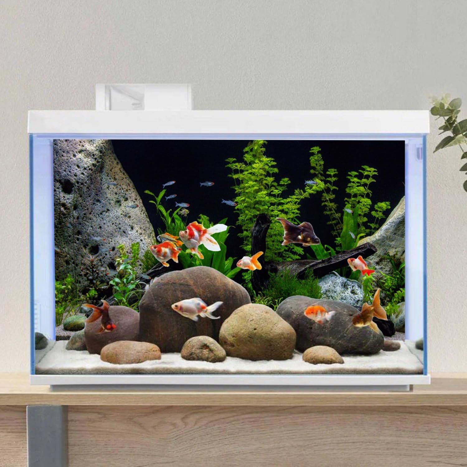 Vibrant aquatic plant and stone river bed printed scenery for large seventy two inch hobby aquariums.