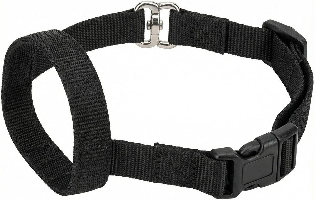 Zevey professional no pull dog collar layout with premium hardware components.