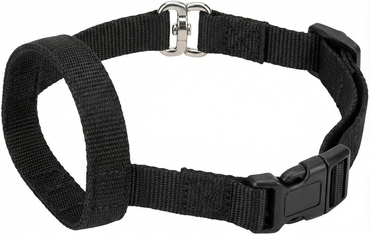 Zevey professional no pull dog collar layout with premium hardware components.