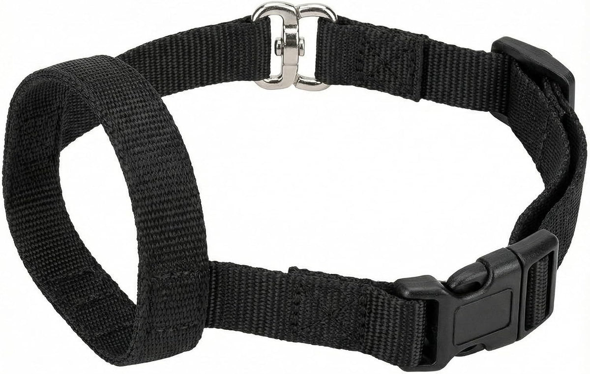 Zevey professional no pull dog collar layout with premium hardware components.