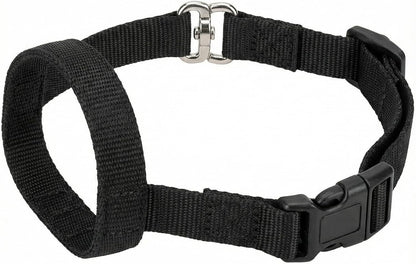 Zevey professional no pull dog collar layout with premium hardware components.