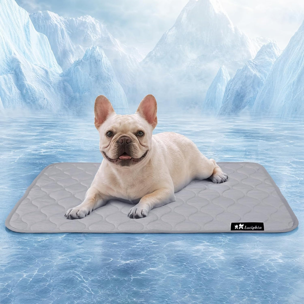 Luciphia waterproof cooling dog blanket front view on a modern couch.