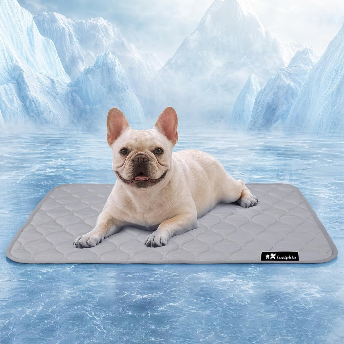 Luciphia waterproof cooling dog blanket front view on a modern couch.