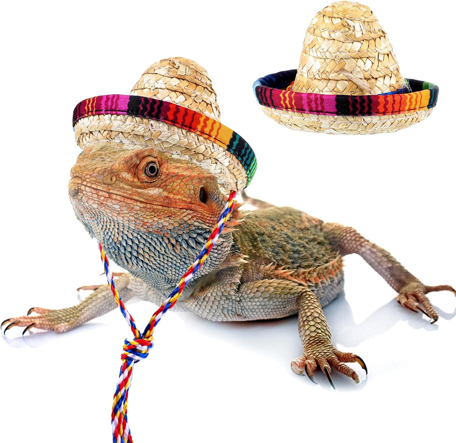 Gtziqa bearded dragon sombrero hat front view on a lizard pet costume