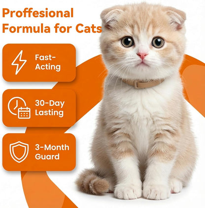 PUAINTA Addcool Plus fast acting formula benefits checklist