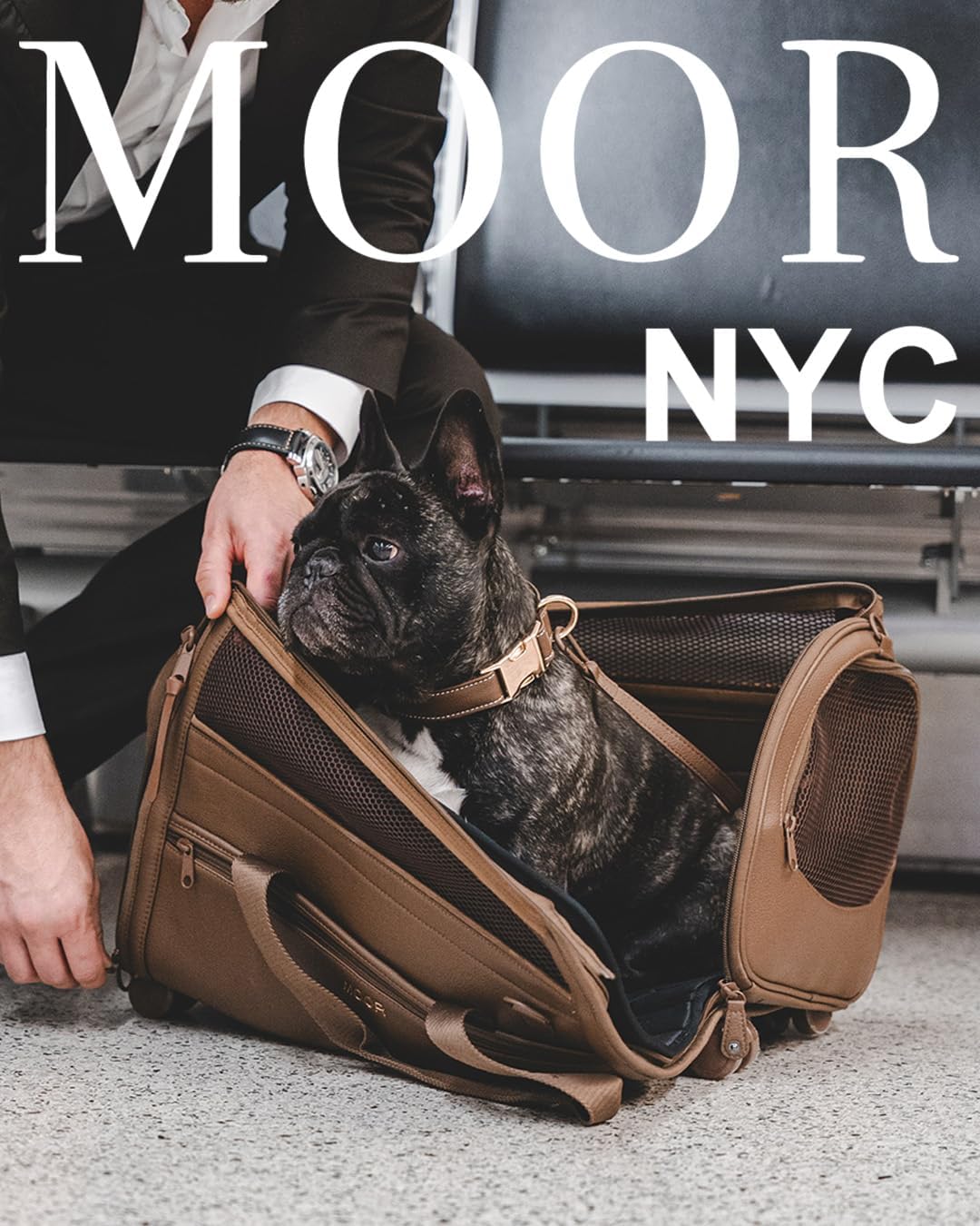Travel lifestyle shot of small dog in Moor Nyc carrier
