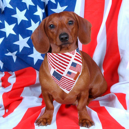 PTDECOR 4th of July dog bandanas two pack product packaging view