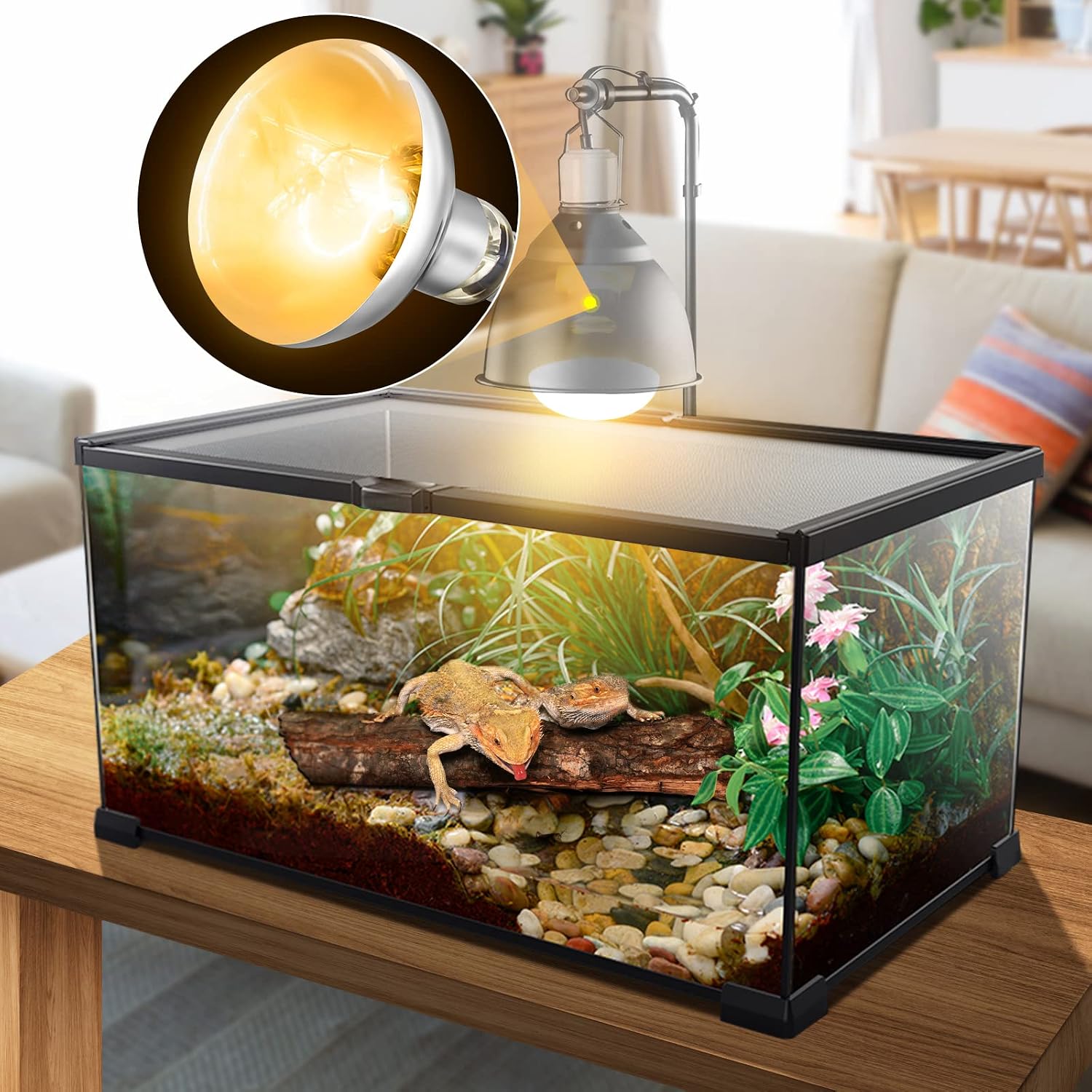 MIXJOY reptile sun light bulb showing the standard E26 base configuration