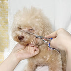 Maxshop professional dog grooming tools ergonomic handle view