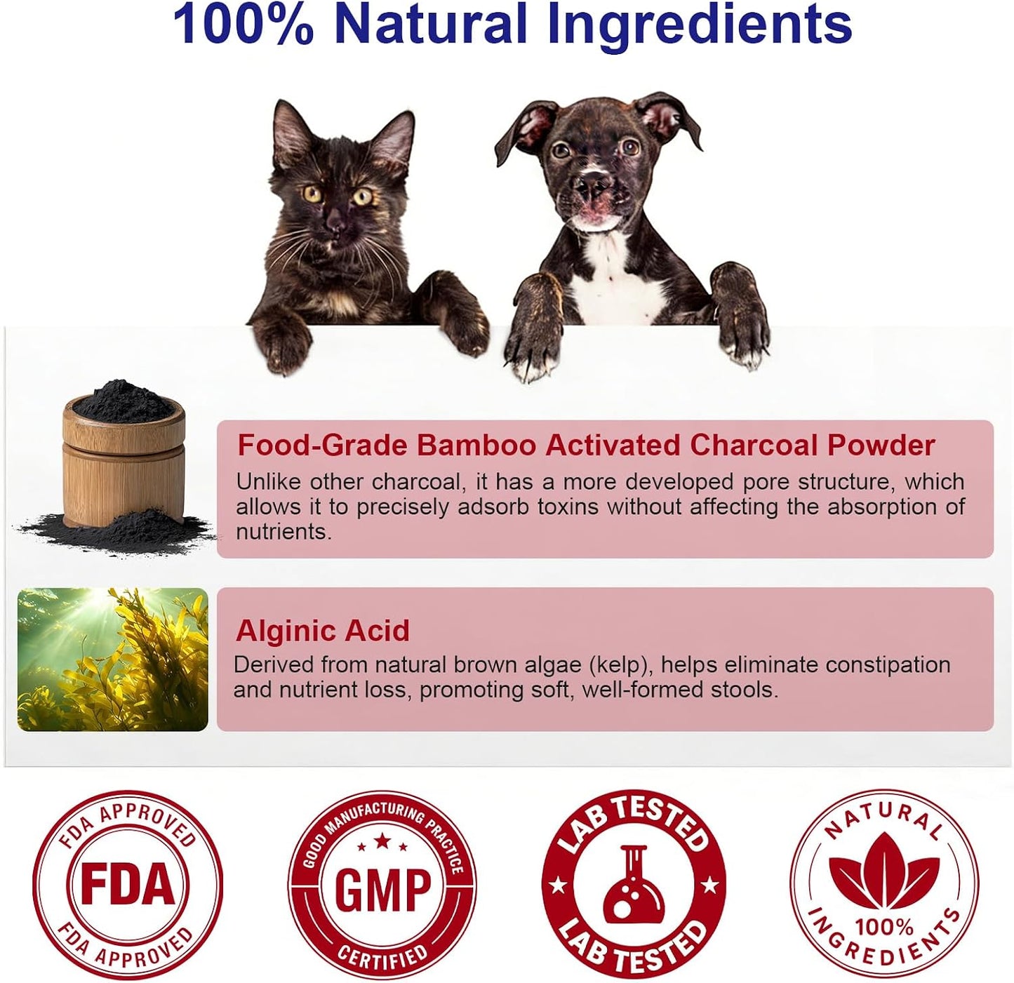 Holistic renal recovery support supplement for feline and canine kidney health