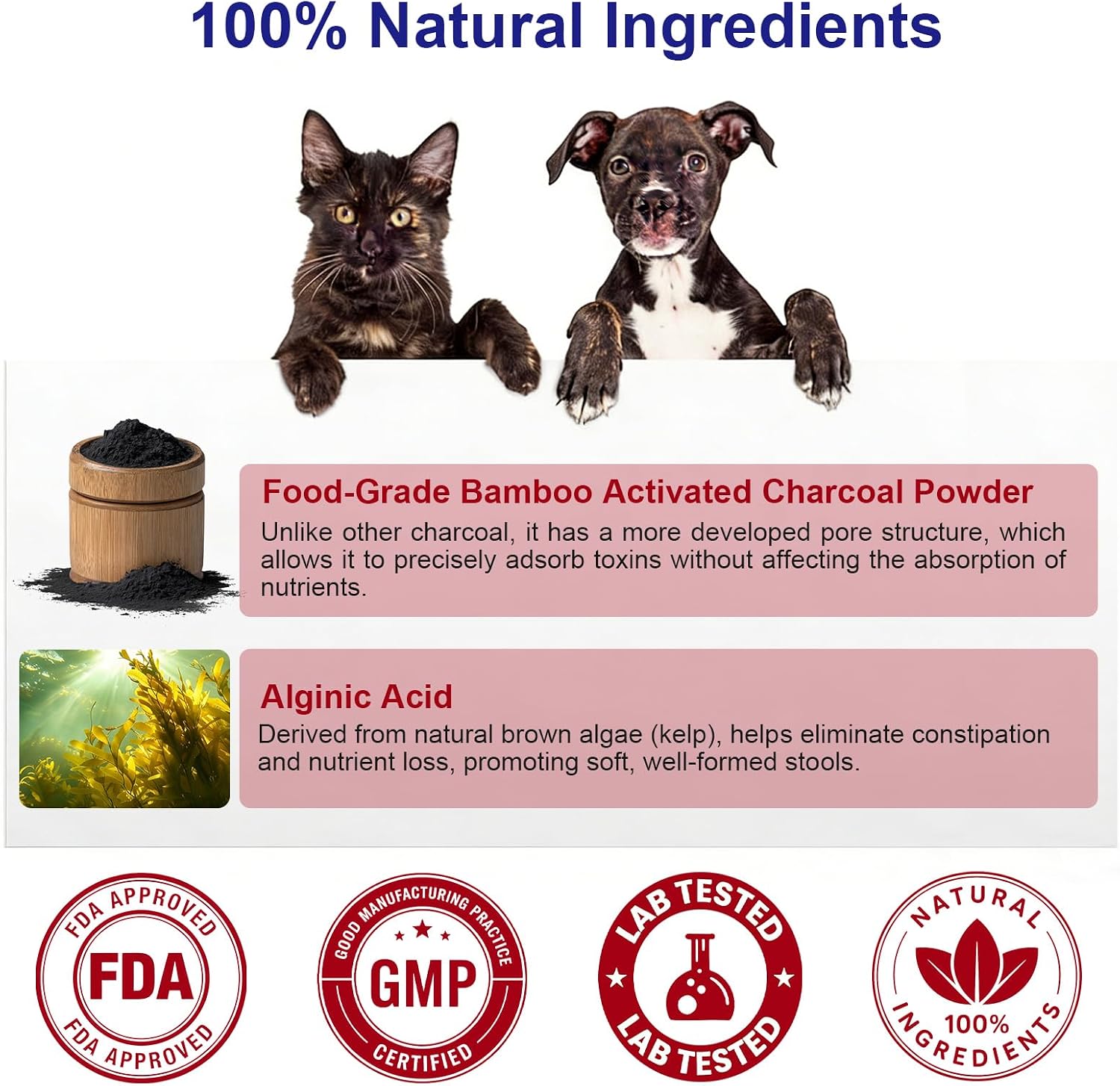 Holistic renal recovery support supplement for feline and canine kidney health
