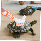 USA imported BCOATH reptile grooming brush packaging and contents view