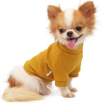 Lophipets stretchable high neck pullover jumper for teacup chihuahuas