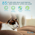 Cat calming pheromone gel being used inside a pet carrier for travel.