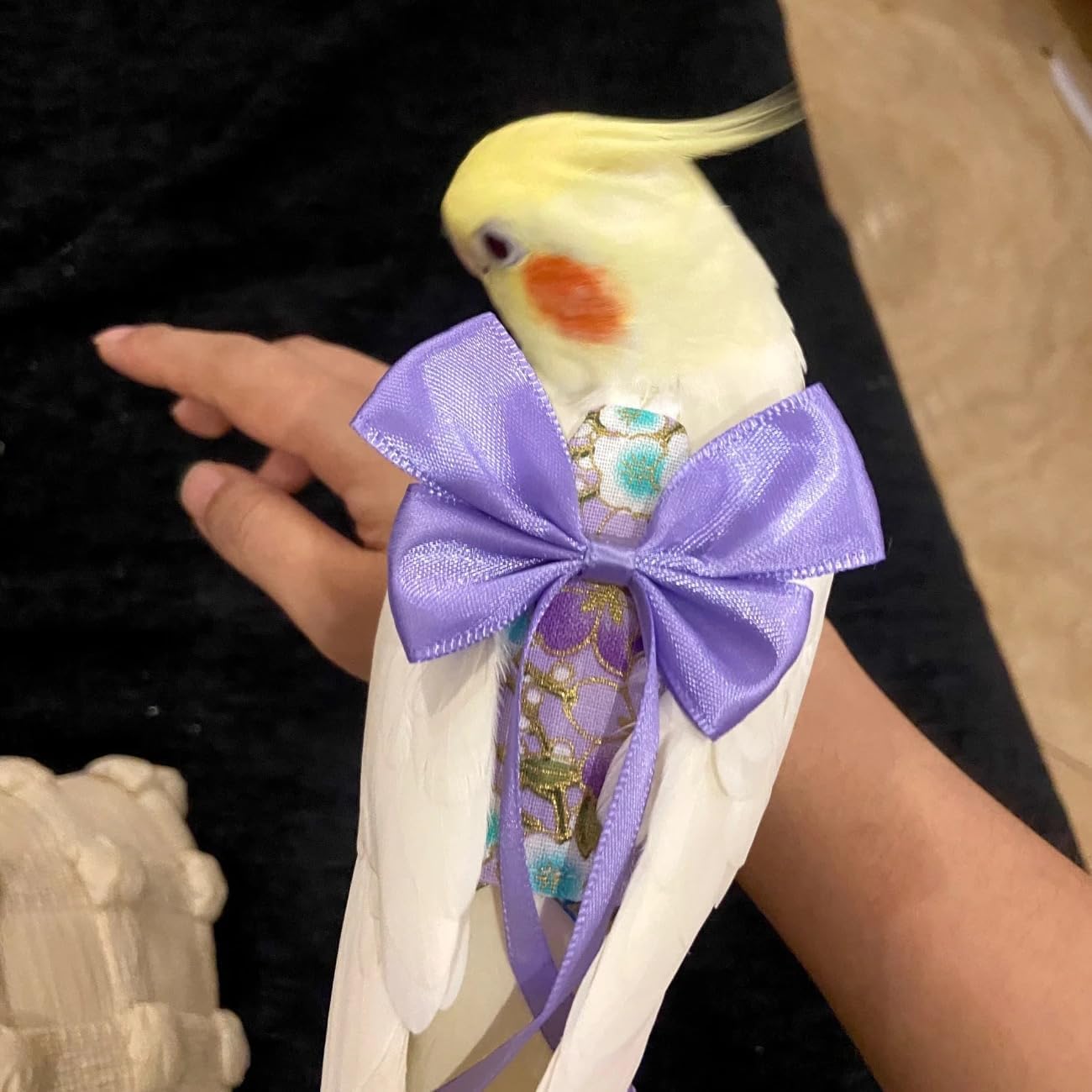 Washable bird diaper clothing set with included outdoor training leash accessory