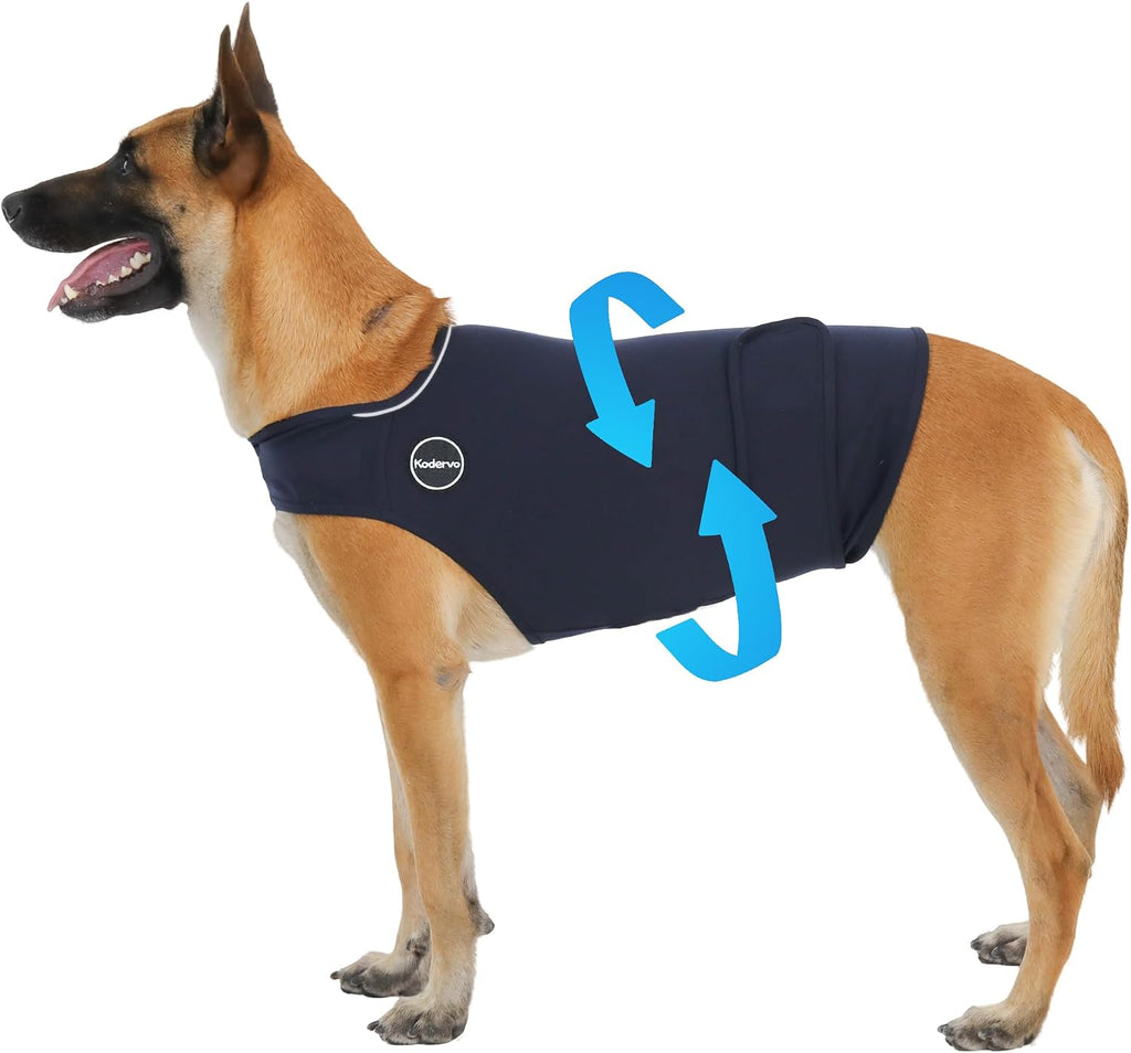 Adjusting the straps on a Kodervo dog anxiety jacket