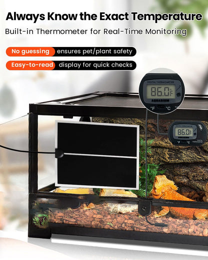 MQ reptile heat mat placed under a glass terrarium