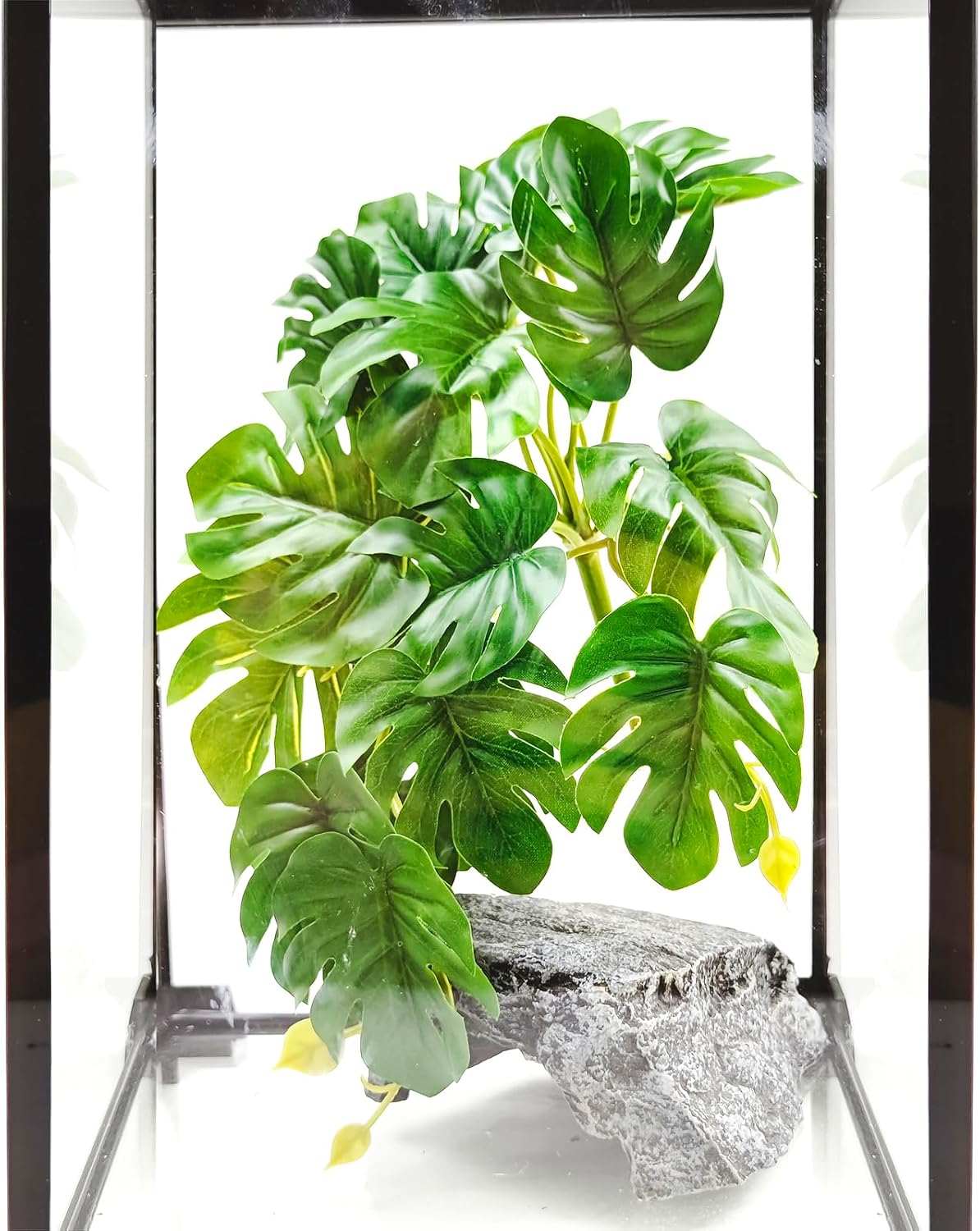 Two pack Woyrise Monstera plants for pet habitat landscaping