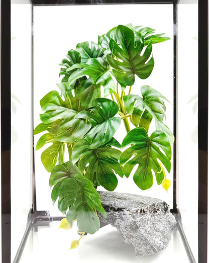 Two pack Woyrise Monstera plants for pet habitat landscaping