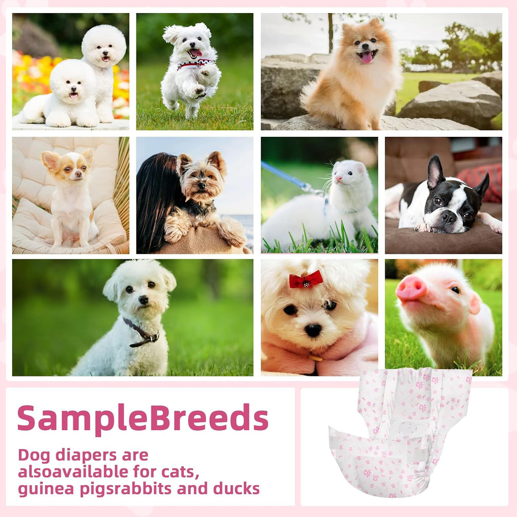 Authentic USA imported female dog diapers packaging layout back view