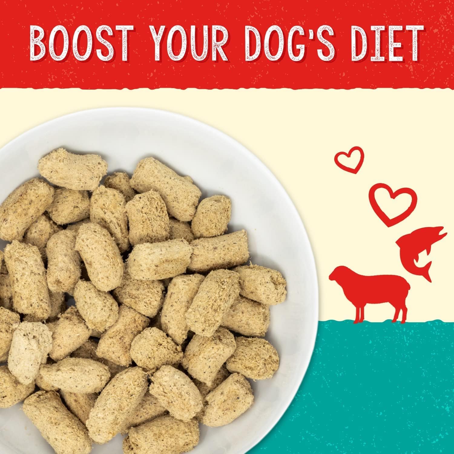 Stella and Chewy's solutions lamb and salmon dinner morsels dog food back label