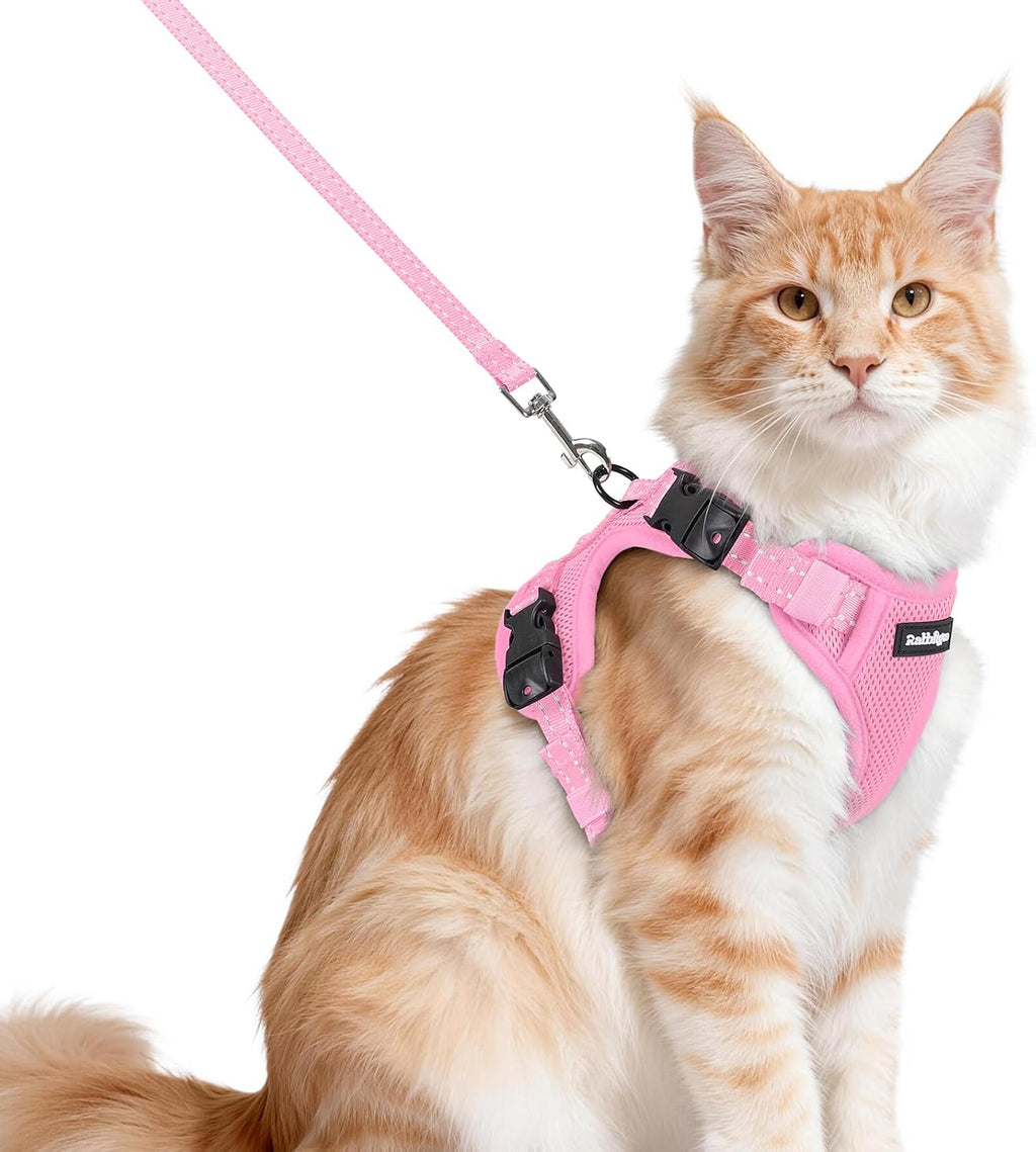 rabbitgoo Easy-on Cat Harness and Leash with Neck Buckle, S, Black | Escape Proof, No Over-the-head, Lockable Adjusters, 3 Secure Buckles, Soft Air Mesh, Reflective, for Average Adult Cats Walks - Image 11