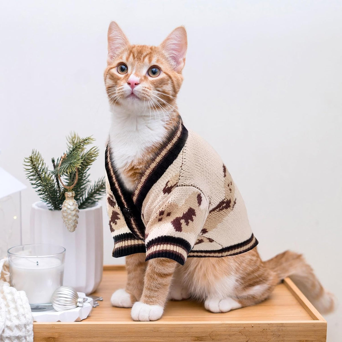ABRRLO breathable lightweight pet holiday outfit side profile view