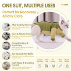 Cat comfortably resting in recovery suit