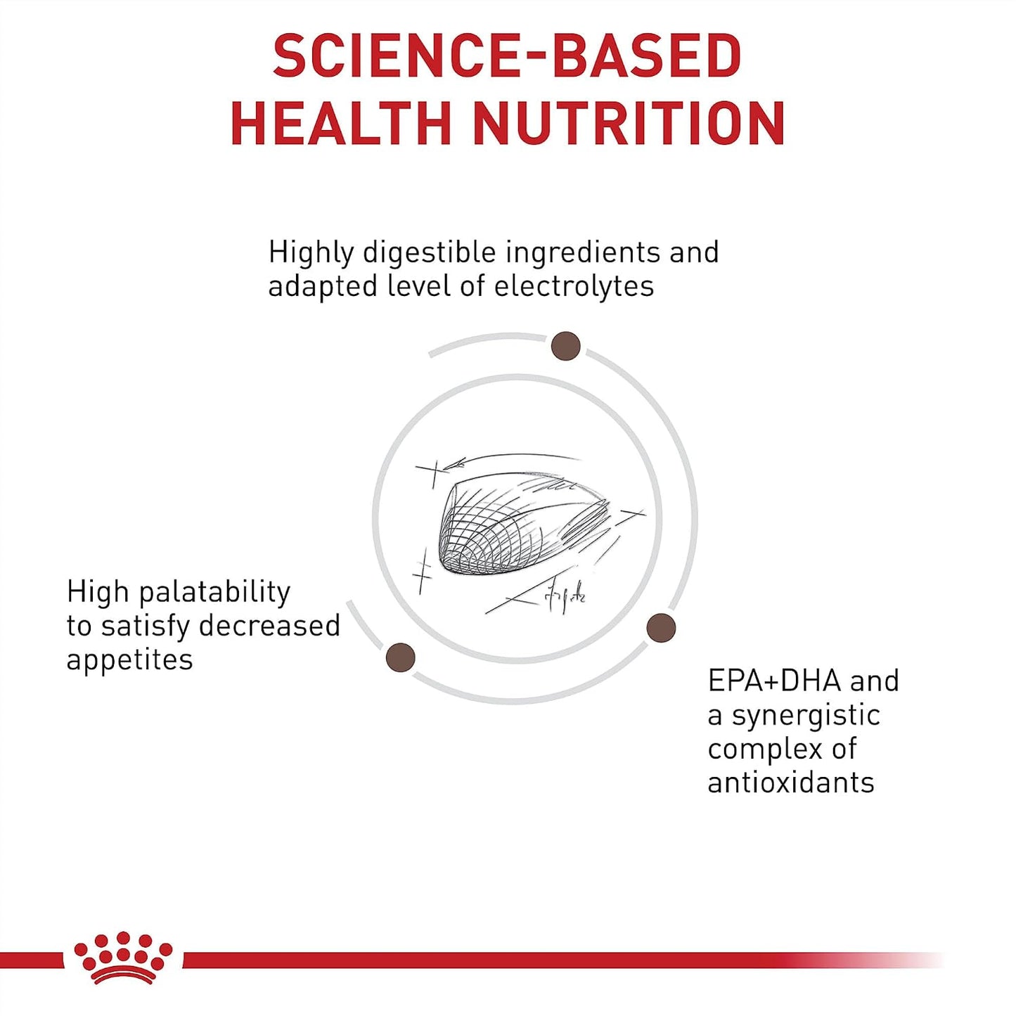 Royal Canin sensitive stomach adult cat dry food kibble information