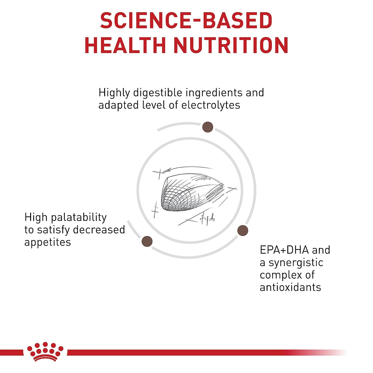 Royal Canin sensitive stomach adult cat dry food kibble information