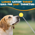 Dual function dog clicker trainer and target stick tool for obedience.