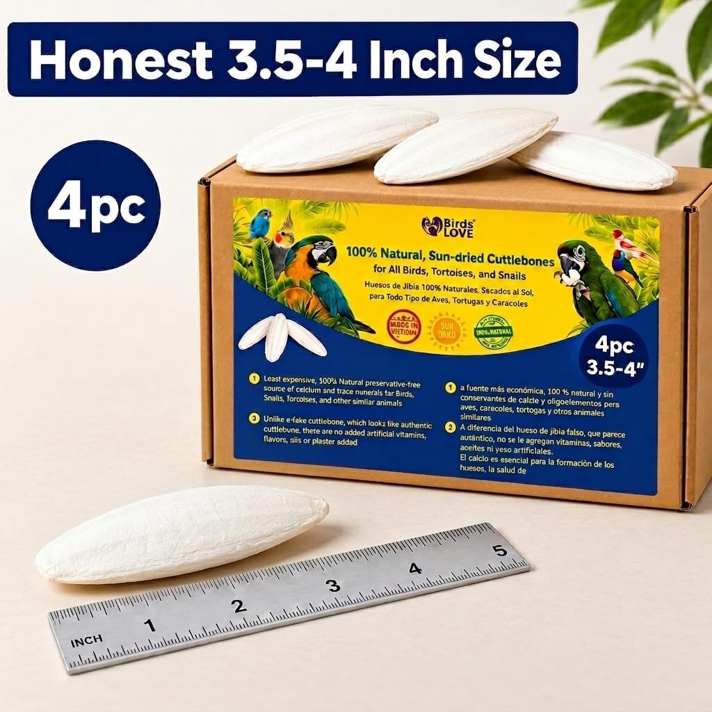 Birds LOVE 3.5-4" Cuttlebone for Birds - 100% Natural Sun-Dried Calcium & Beak Conditioning Supplement for Parakeets, Budgies, Cockatiels, Finches & Canaries - 4 Pack with Holder - Made in Vietnam - Image 3