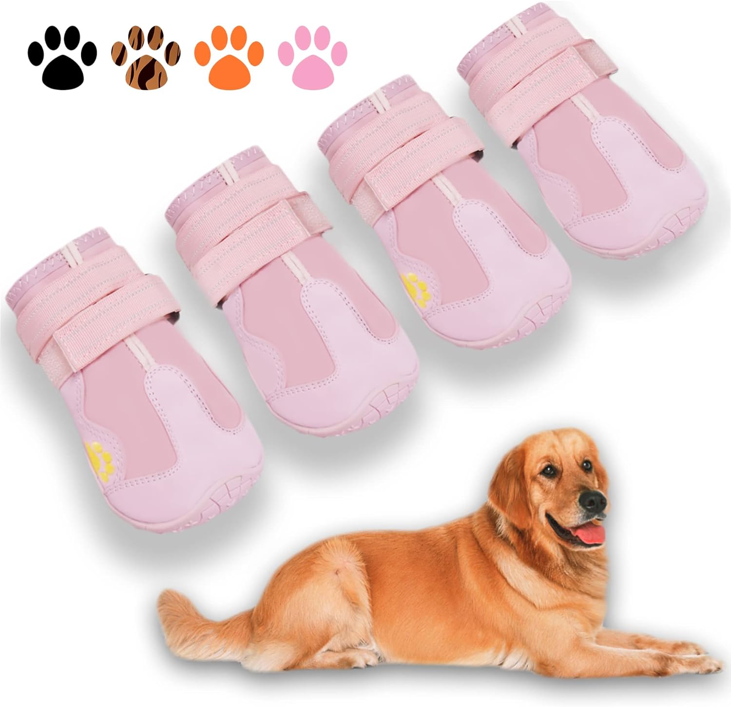 Size chart visual for XSY&G dog boots