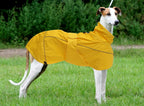 Morezi premium pet rain poncho showing the contoured side profile fit on a sighthound.
