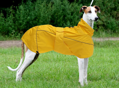 Morezi premium pet rain poncho showing the contoured side profile fit on a sighthound.