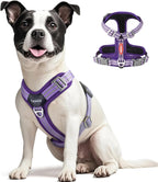 No Pull Dog Harness - Adjustable Reflective Dog Vest with Metal Snap, Soft Breathable Mesh No Choke Puppy Harness, Easy to Put on & Take Off (Blue-S) - Image 14